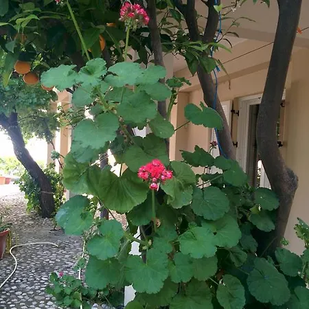 Varagoulis Giannis & Lenas Apartments Paramonas  Exterior photo