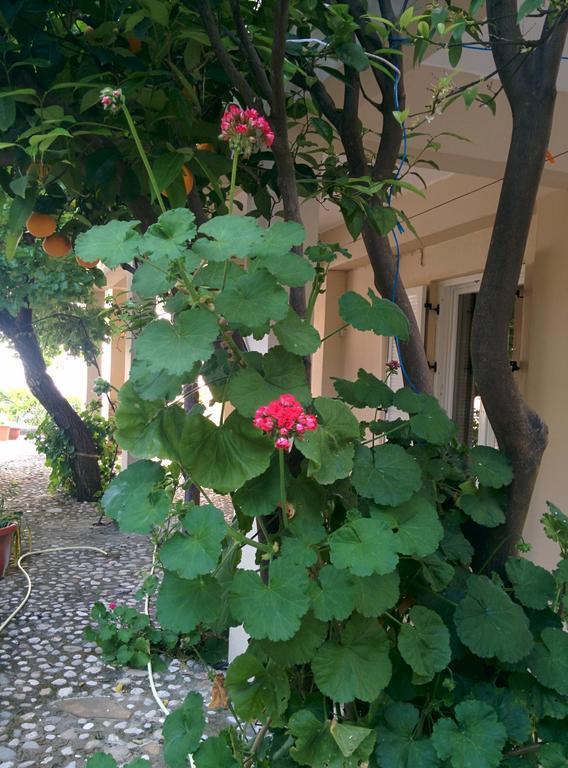 Varagoulis Giannis & Lenas Apartment Paramonas (Corfu)